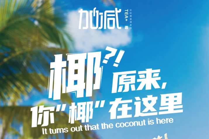 球盟会椰子系列新品火爆上市